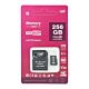 Pamäťová karta MicroSD PNI 256 GB